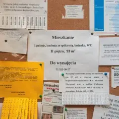 Jak napisać ogłoszenie o wynajem mieszkania, aby szybko znaleźć najemcę