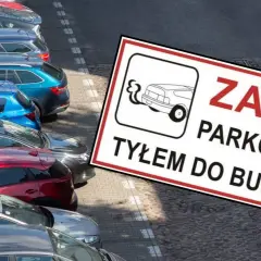 Czy można parkować tyłem do budynku? Sprawdź, co mówią przepisy