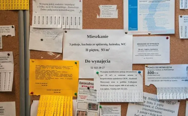 Jak napisać ogłoszenie o wynajem mieszkania, aby szybko znaleźć najemcę