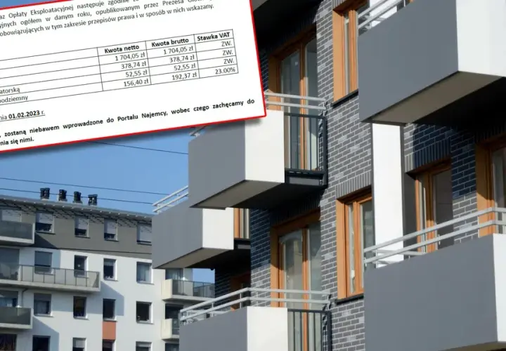 Ile kosztuje wynajem mieszkania w Poznaniu? Ceny, które zaskakują