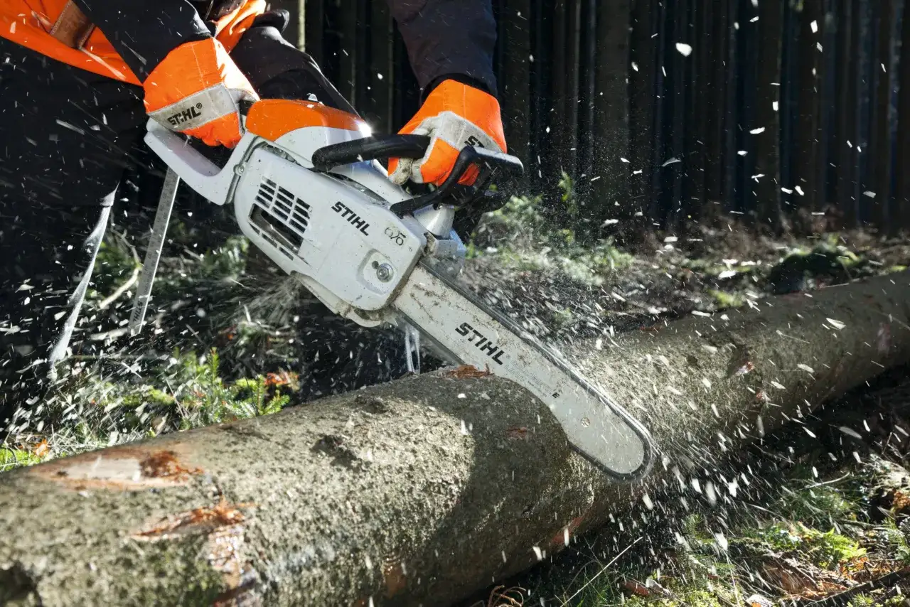 Osoba w pomarańczowych rękawicach i odzieży ochronnej używa piły łańcuchowej Stihl, aby precyzyjnie ściąć drzewo w kierunku. Wióry lecą w powietrzu.