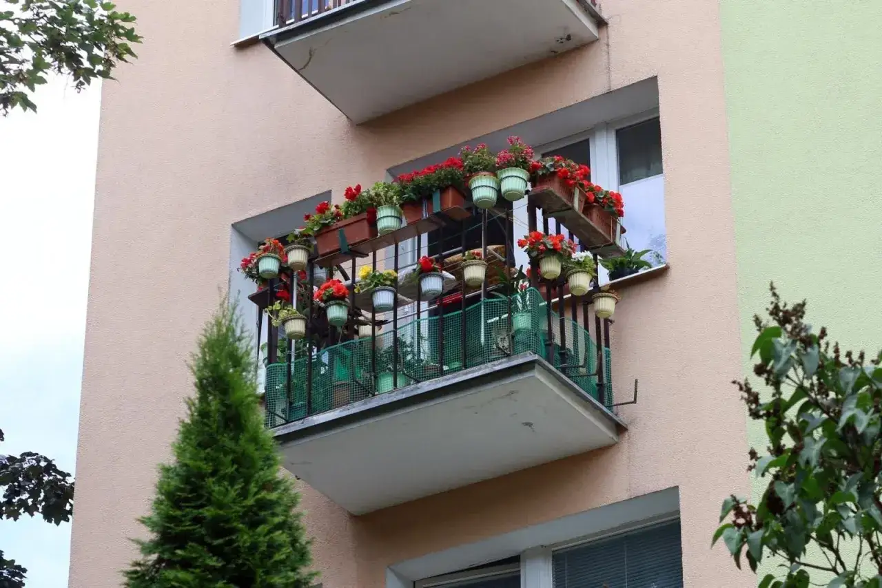 Kwiaty na balkonie, zastanawiasz się, ile kosztuje balkon przyczepny? Ten pełen zieleni i czerwonych kwiatów balkon wygląda pięknie.