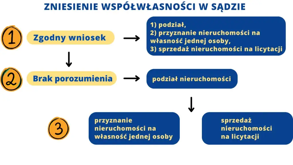 Zdjęcie Co może współwłaściciel nieruchomości? Prawa i obowiązki w praktyce